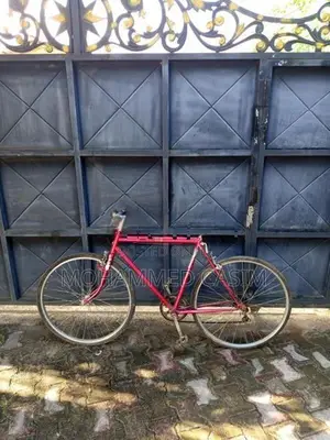 Sturdy Gents Bicycle