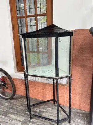 Fish Tank