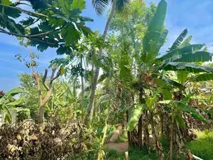 Kalagedihena Land for Sale
