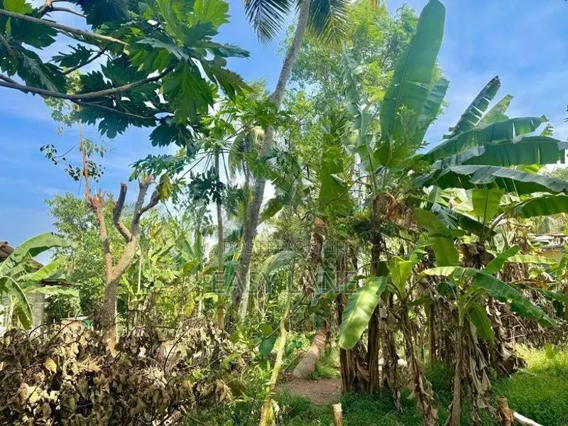 Kalagedihena Land for Sale