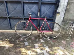 Sturdy Gents Bicycle