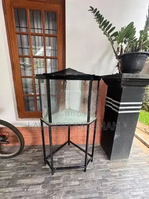 Fish Tank