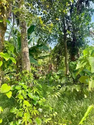 Kalagedihena Land for Sale