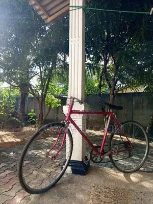 Sturdy Gents Bicycle