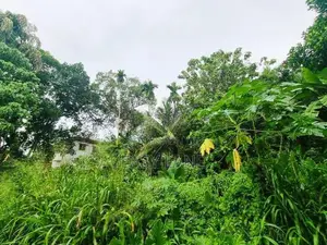වේයන්ගොඩ අධිවේගී පිවිසුමට විනාඩි 10
