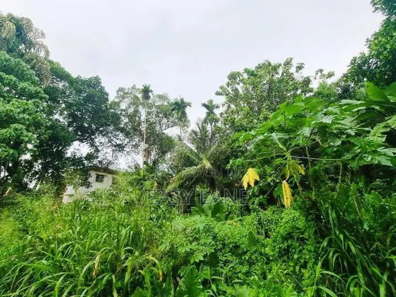 වේයන්ගොඩ අධිවේගී පිවිසුමට විනාඩි 10