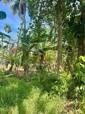Kalagedihena Land for Sale