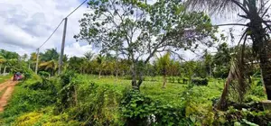 කුලියාපිටිය - පළුගමුවෙන් පර්චස් 30