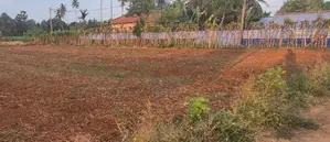 கோப்பாயில் காணி விற்பனைக்கு