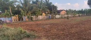 கோப்பாயில் காணி விற்பனைக்கு