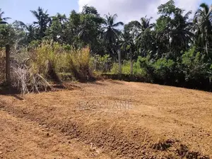 යක්කල නගරයට ඉතාම ආසන්නයෙන් පර්චස් 15ක බිම් කොටසක්