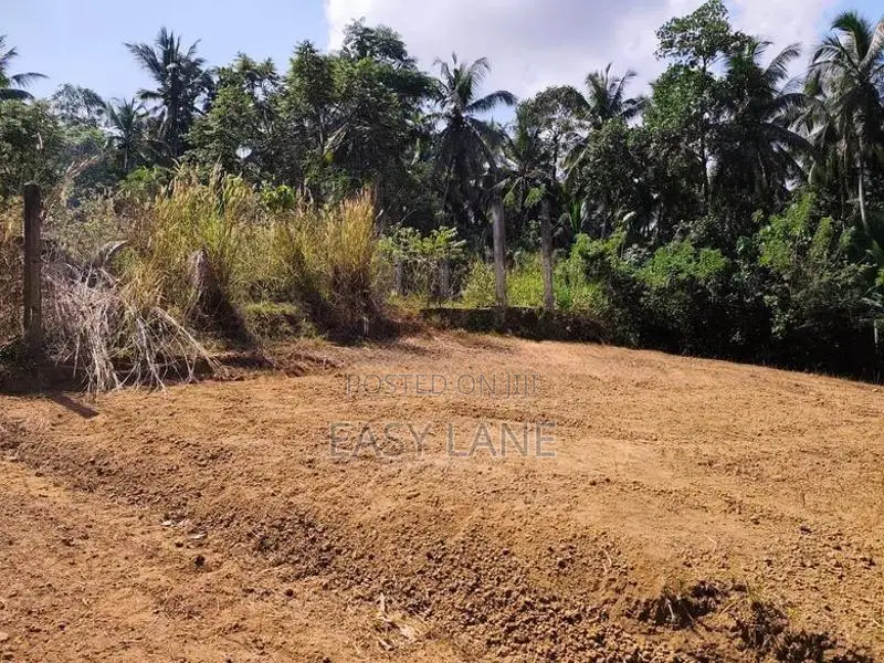 යක්කල නගරයට ඉතාම ආසන්නයෙන් පර්චස් 15ක බිම් කොටසක්