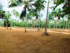 Mellawagedera Land for Sale