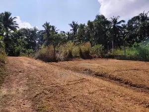 යක්කල නගරයට ඉතාම ආසන්නයෙන් පර්චස් 15ක බිම් කොටසක්
