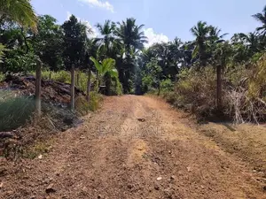 යක්කල නගරයට ඉතාම ආසන්නයෙන් පර්චස් 15ක බිම් කොටසක්