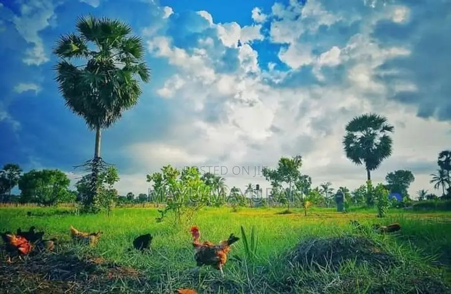 இயக்கச்சி சந்திக்கு அருகில் இரண்டு ஏக்கர் உறுதிக்காணி விற்பனைக்கு.