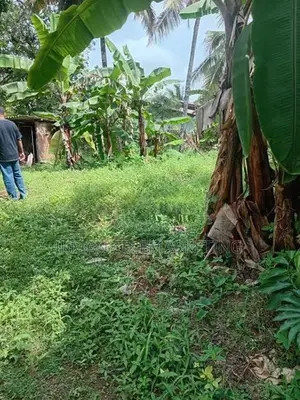 Land for Sale in Kelaniya