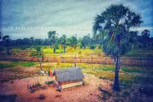 இயக்கச்சி சந்திக்கு அருகில் இரண்டு ஏக்கர் உறுதிக்காணி விற்பனைக்கு.