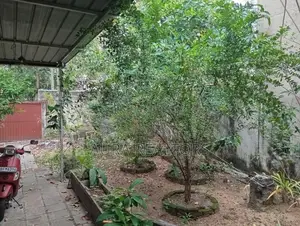Land with House for Sale in Colombo 8 (p-16)