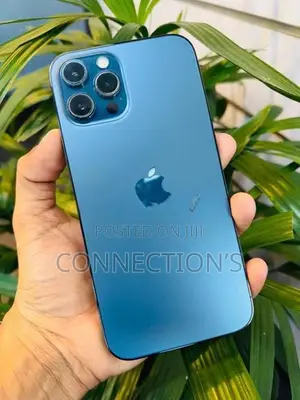 Apple iPhone 12 Pro Max (Used)