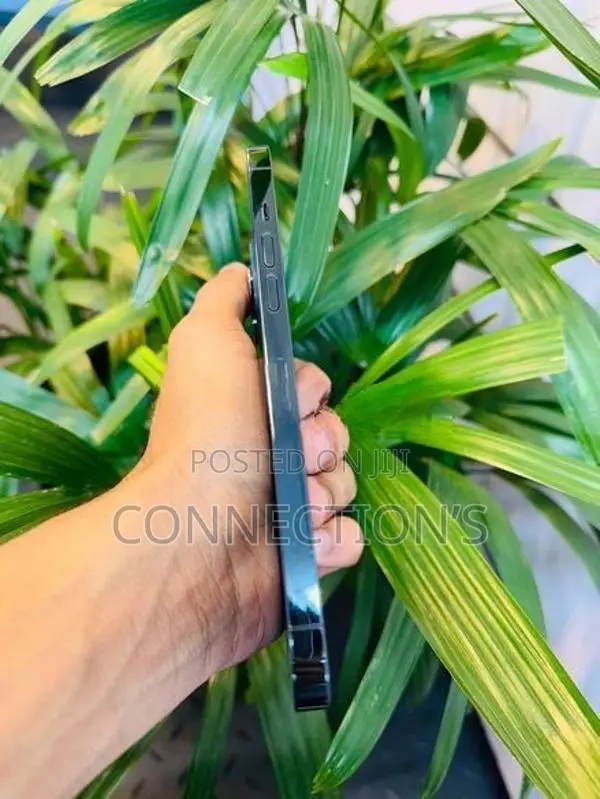 Apple iPhone 12 Pro Max (Used)