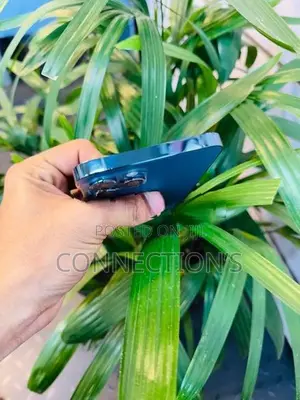 Apple iPhone 12 Pro Max (Used)