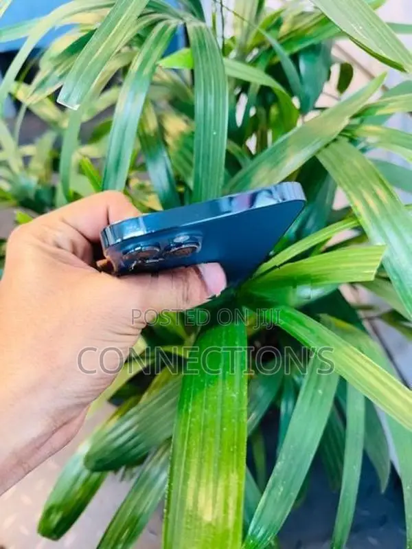 Apple iPhone 12 Pro Max (Used)