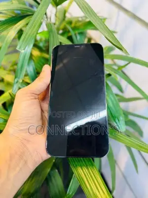 Apple iPhone 12 Pro Max (Used)