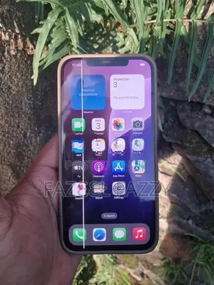 Apple iPhone 12 Pro Max (Used)