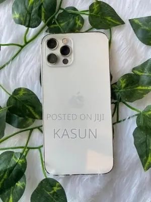 Apple iPhone 12 Pro 256GB (Used)