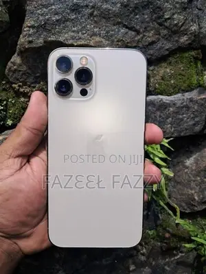 Apple iPhone 12 Pro Max (Used)