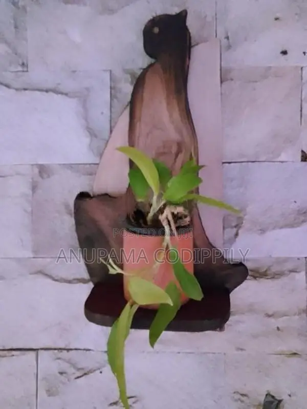 Wooden Wall Ornament