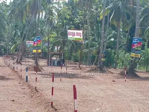 කොළඔ_කුරැනැගල 5 පාර දිවුල්දේණිය Land for Sale
