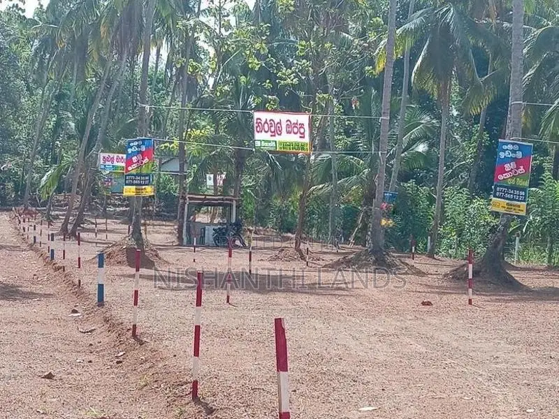කොළඔ_කුරැනැගල 5 පාර දිවුල්දේණිය Land for Sale