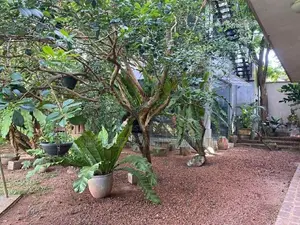 38 Perches Land For Sale in Marine Drive Colombo 3