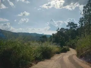 Land for Sale Galaha