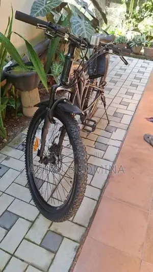 Lumala GT4 Mountain Bike