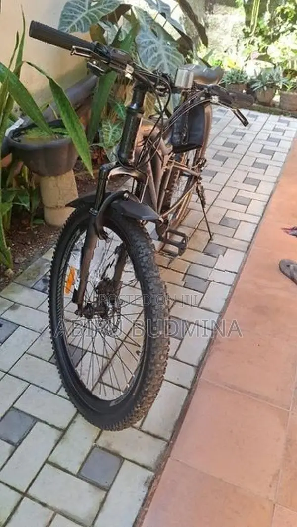 Lumala GT4 Mountain Bike