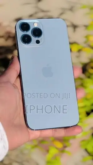 Apple iPhone 13 Pro Max (Used)