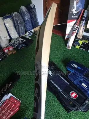 Dsc Bat