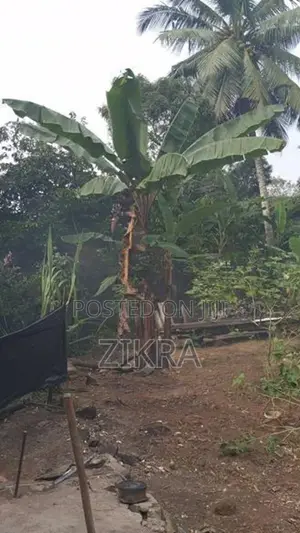 Land for Sale Horana