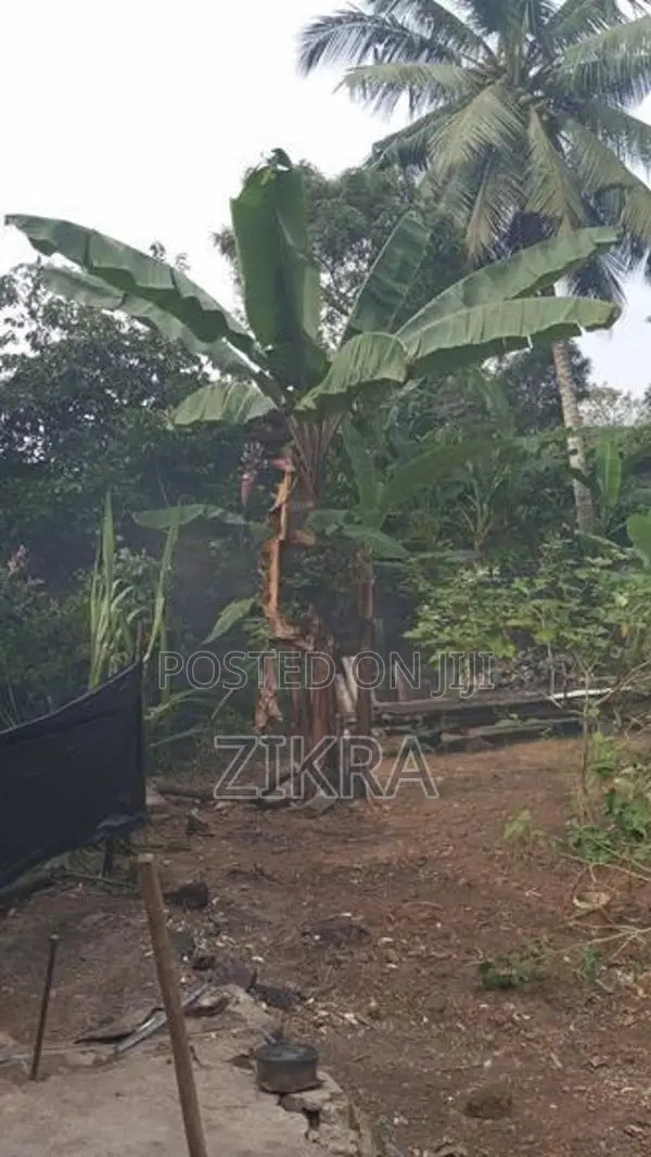 Land for Sale Horana