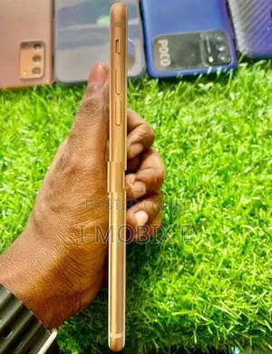 Apple iPhone 8 Plus 256GB (Used)