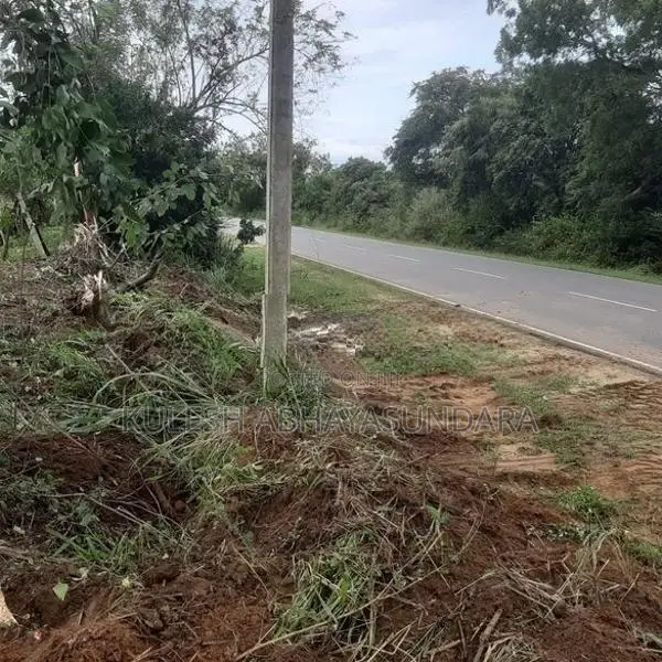 Prime Land Opportunity Facing Udawalawa National Park