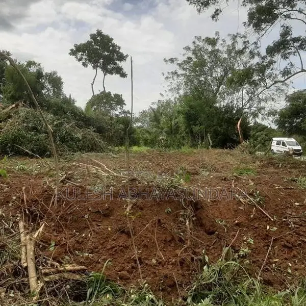 Prime Land Opportunity Facing Udawalawa National Park
