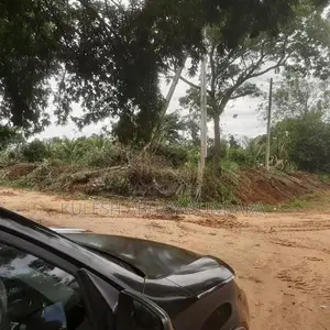 Prime Land Opportunity Facing Udawalawa National Park