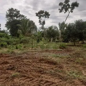 Prime Land Opportunity Facing Udawalawa National Park
