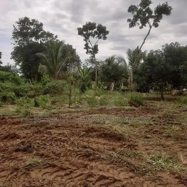 Prime Land Opportunity Facing Udawalawa National Park