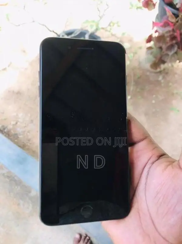 Apple iPhone 7 Plus (Used)