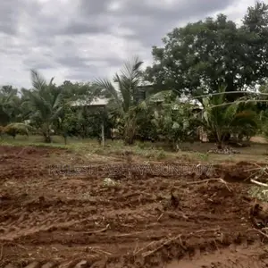 Prime Land Opportunity Facing Udawalawa National Park